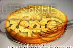 Glutenfreier Apfelkuchen